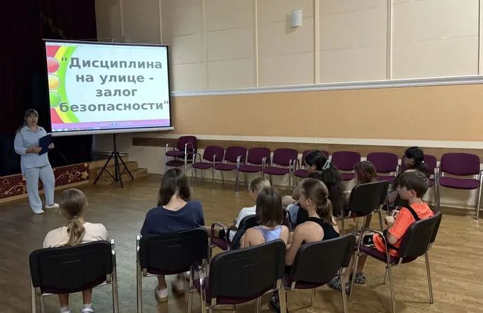 пдд1