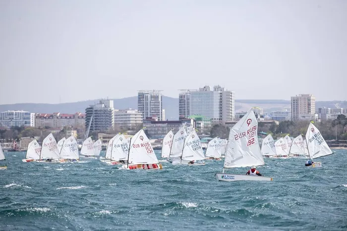 2362zar6jo5f93jy2uox0osy6kjjq4x6